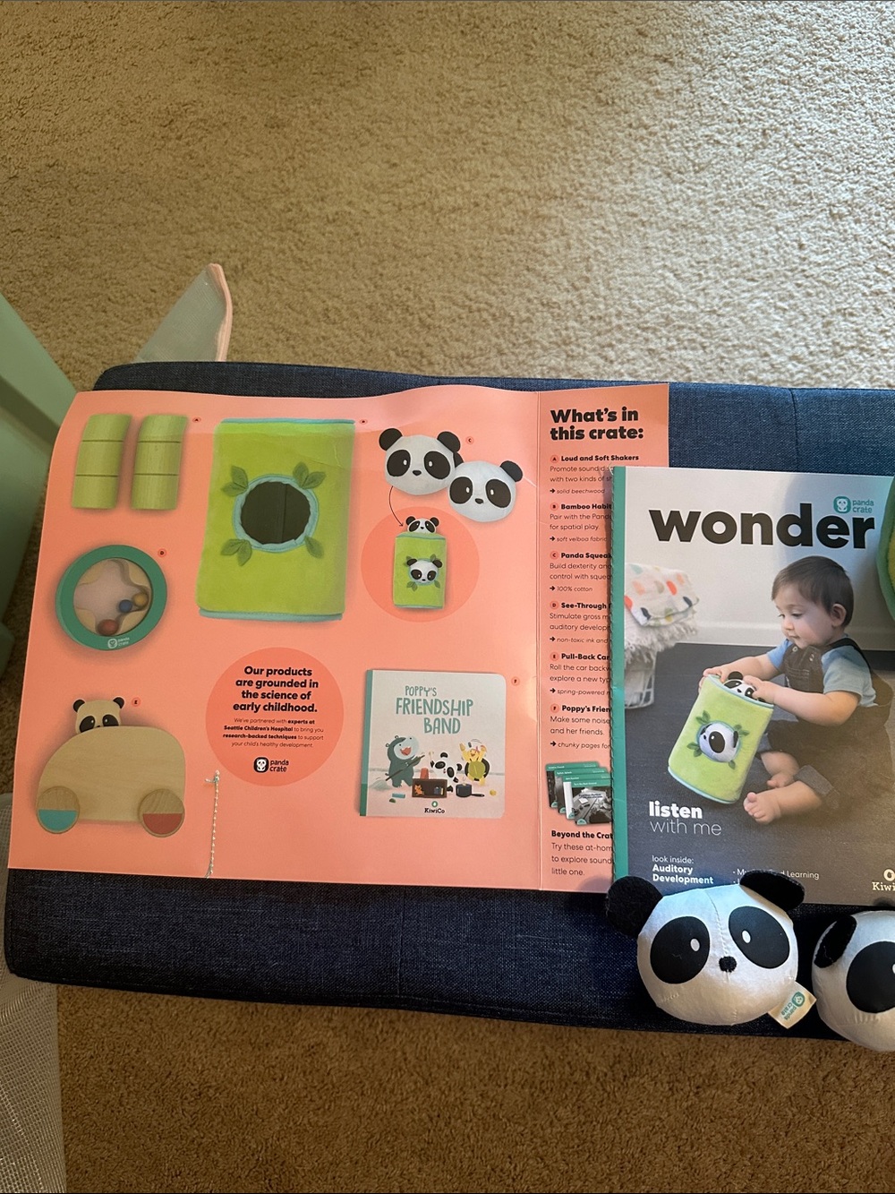 Kiwico panda crate “Learn with Me”